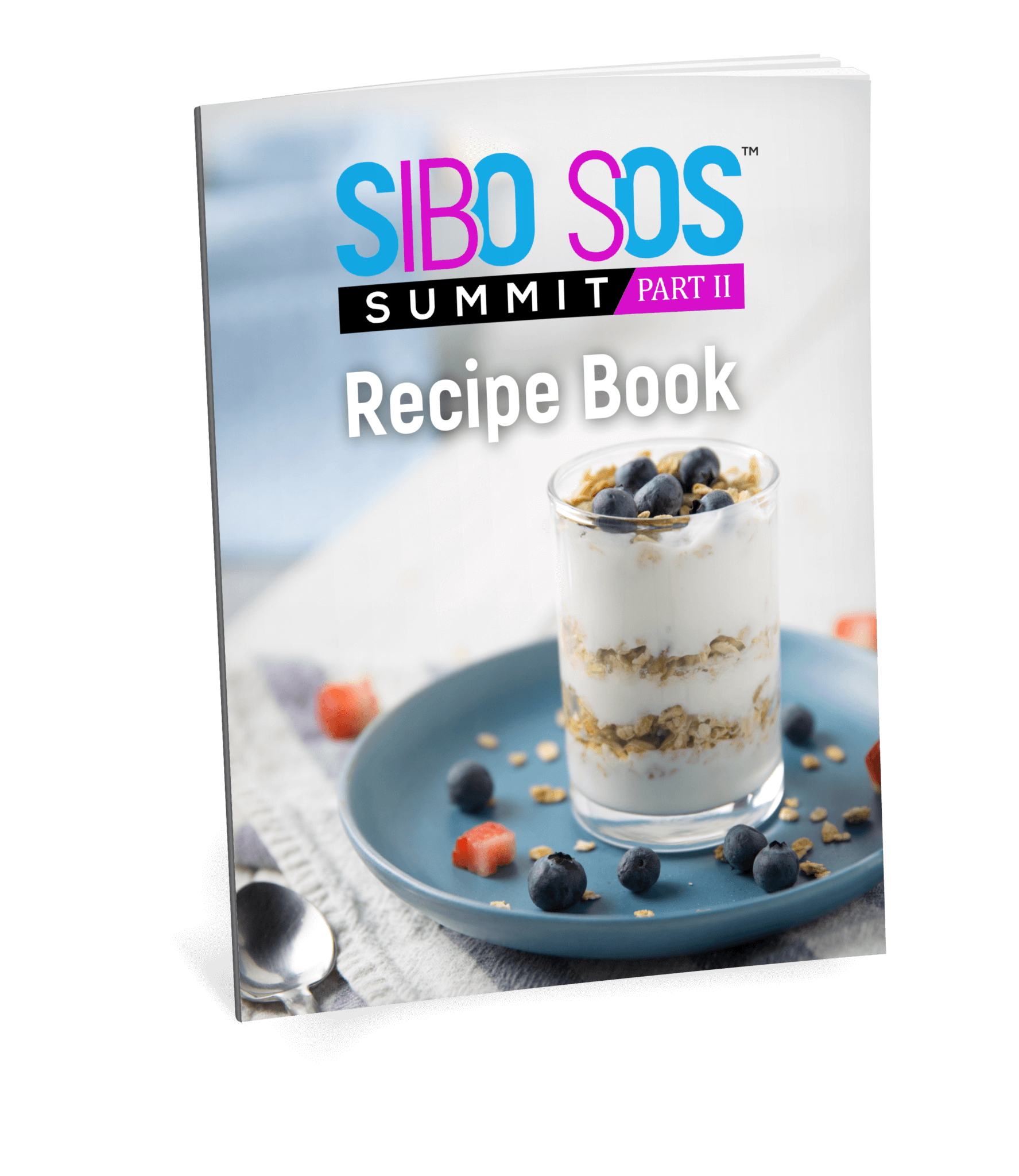 SIBO-SOS-RECIPE-BOOK-MOCKUP - SIBO SOS