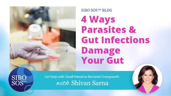 sibo parasites gut health infections leaky gut