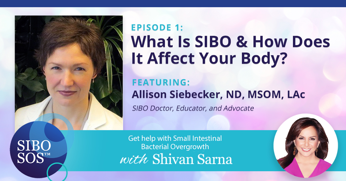 Dr. Allison Siebecker on SIBO and How it Affects the Body