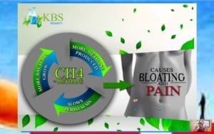 Vlog: Learning More About SIBO & IBS with Dr. Ken Brown, MD