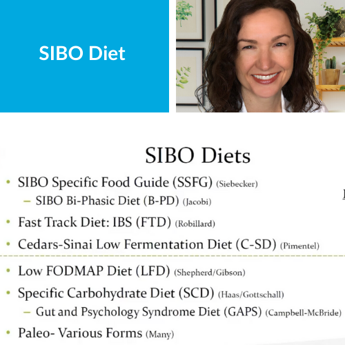 sibo diet with Dr. Allison Siebecker Masterclass
