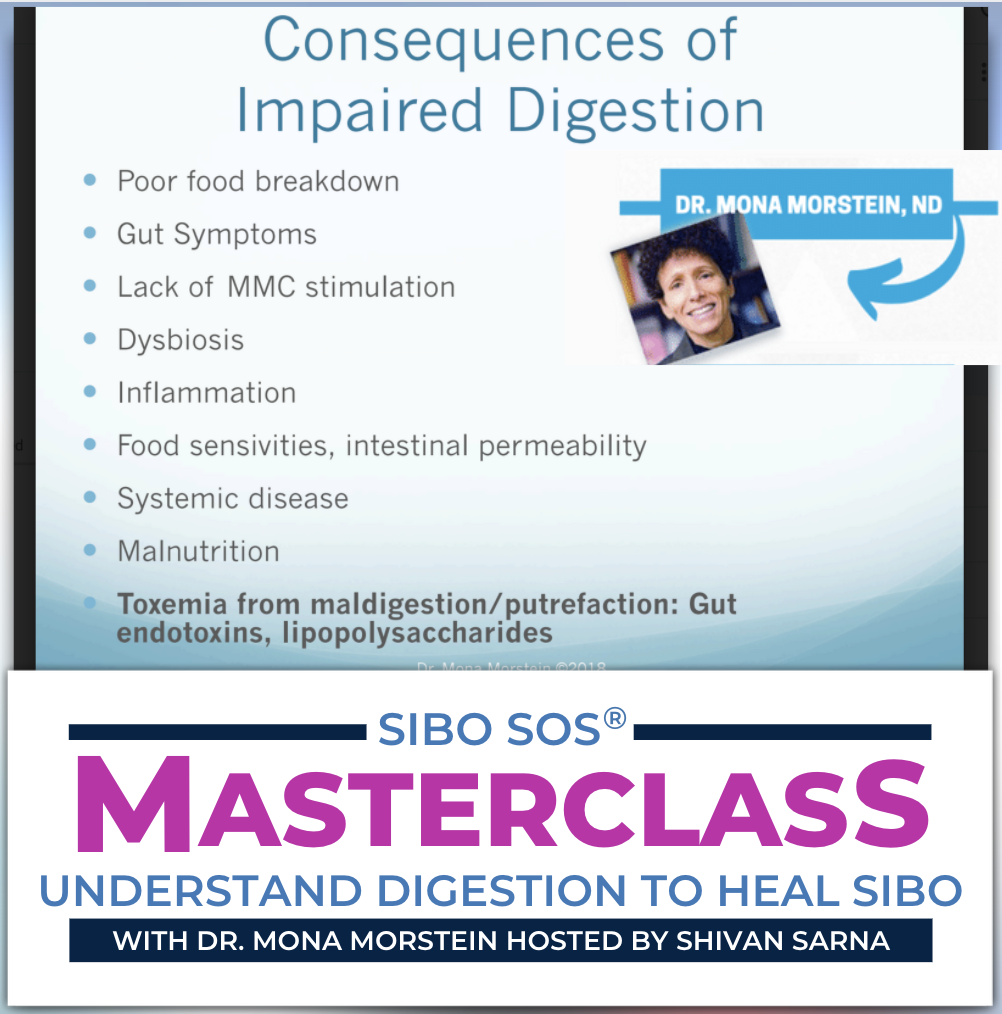SIBO SOS Masterclass Digestion Dr. Mona Morstein