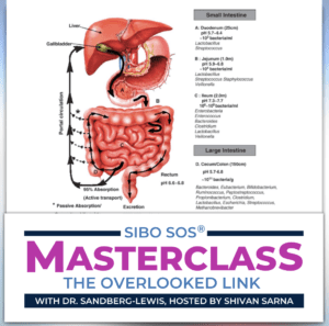 SIBO SOS Masterclass Gallbladder Dr. SS-L