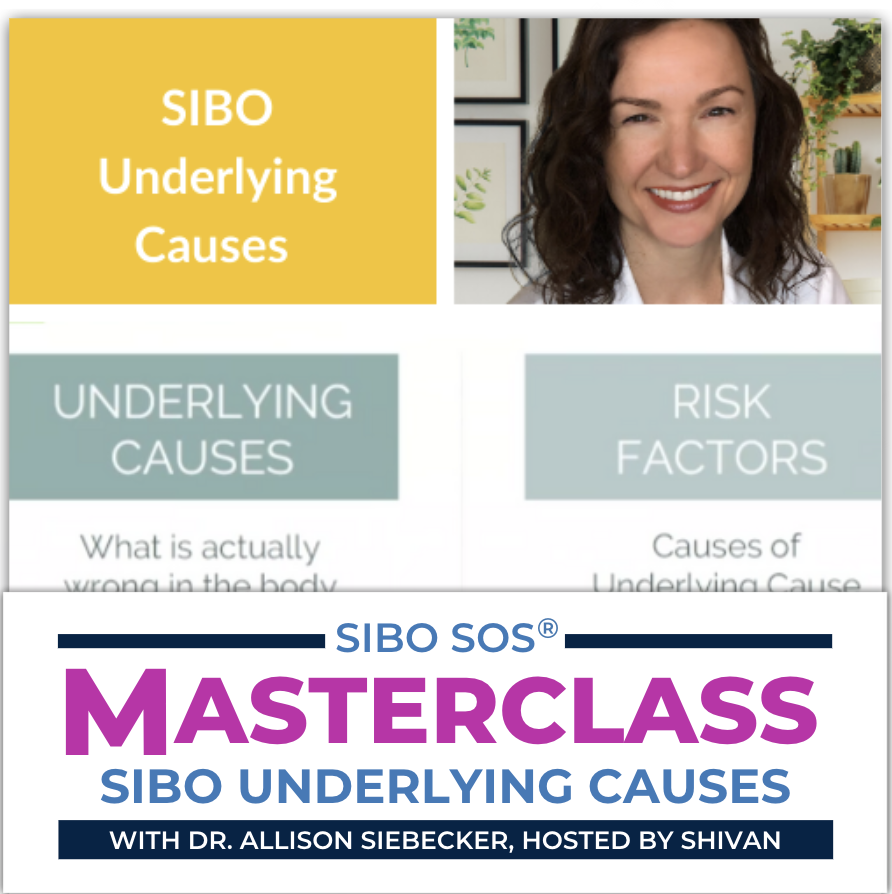 SIBO SOS Masterclass Underlying Causes Siebecker