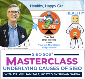 Masterclass Underlying Causes of SIBO Dr Salt