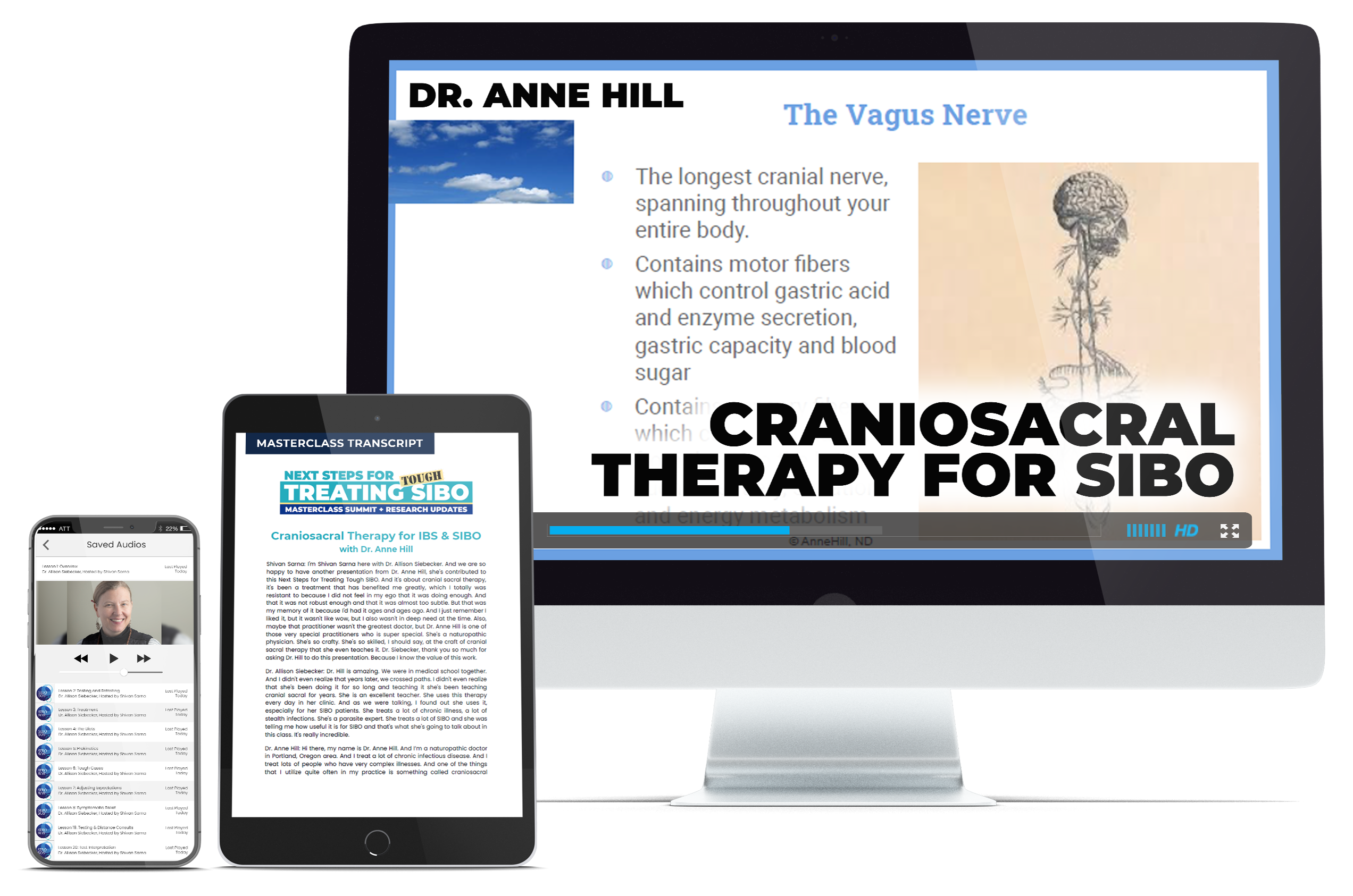 Craniosacral Therapy for IBS & SIBO​​ with Dr. Anne Hill