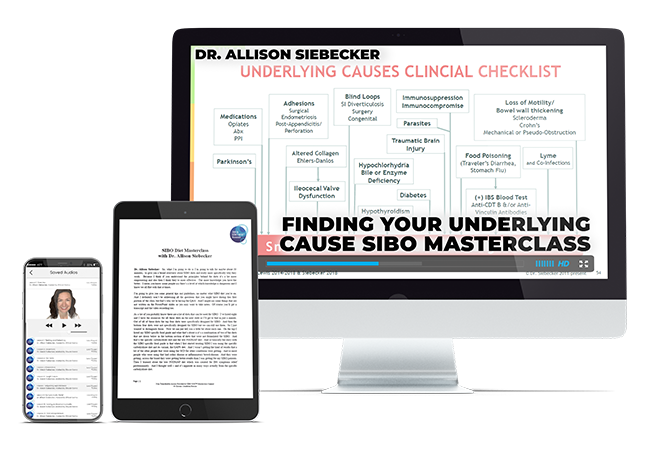 Finding Your Underlying Causes with Dr. Allison Siebecker