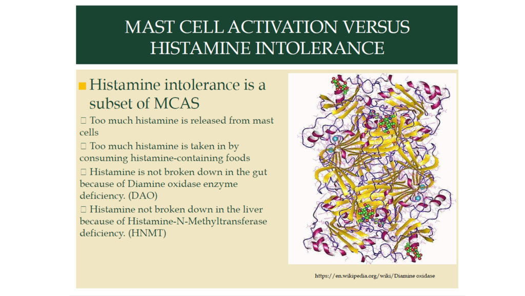MCAS & Histamine Slide