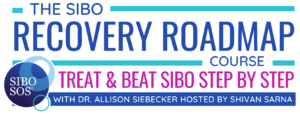 The SIBO Recovery Roadmap Course 2023
