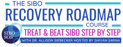 The SIBO Recovery Roadmap Course - Course Logo