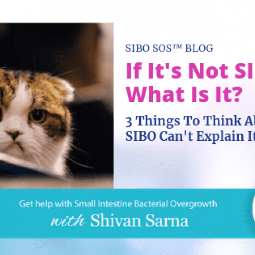 3 Things It could be besides SIBO 3 Things To Think About When It’s Not SIBO
