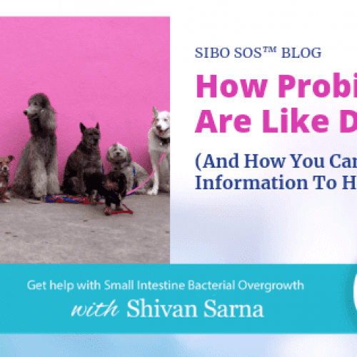 Dogs&Probiotics Dogs&Probiotics