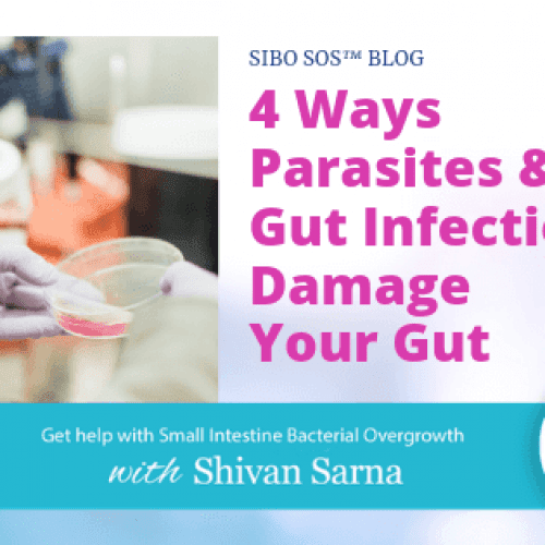 Parasites and SIBO sibo parasites gut health infections leaky gut