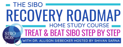 The SIBO Recovery Roadmap® Course - Treat & Beat SIBO Step By Step