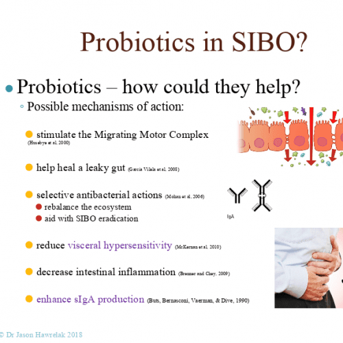 Probiotics in SIBO Probiotics in SIBO