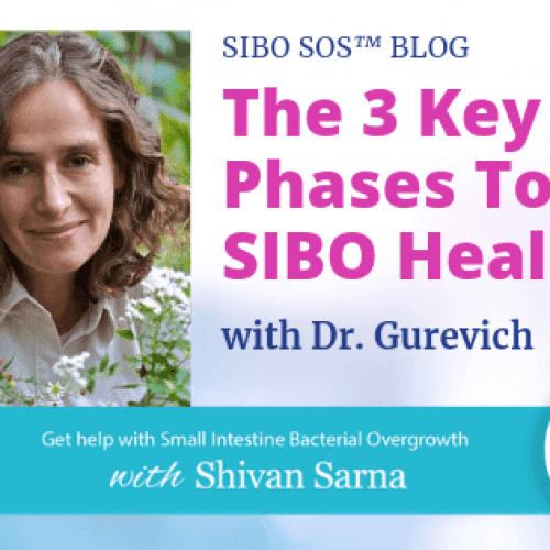The 3 Key Phases To SIBO Healing With Dr. Gurevich The 3 Key Phases To SIBO Healing With Dr. Gurevich